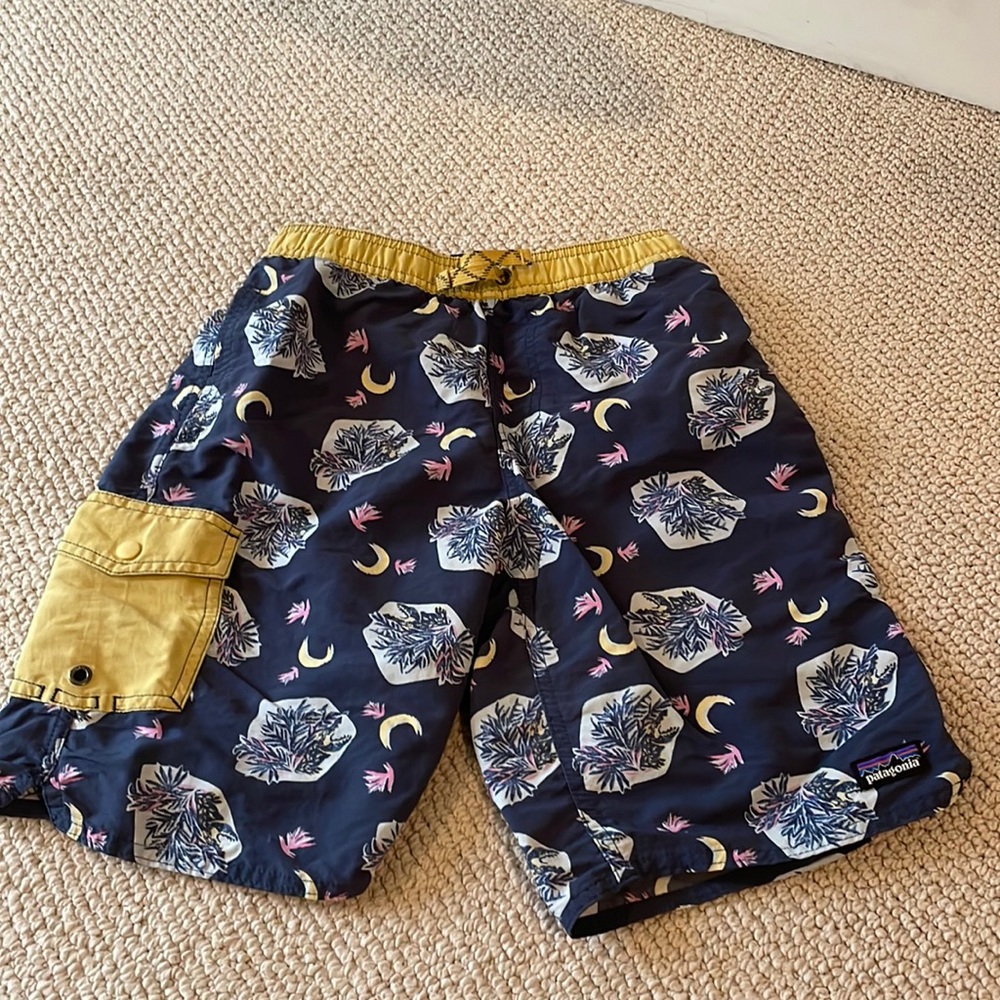 Boys Patagonia swim trunks